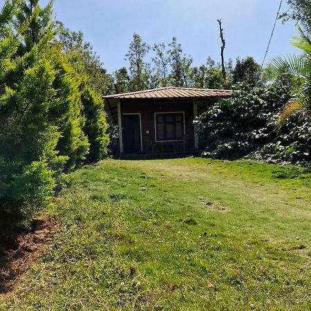 Athena Homestay Somvārpet Esterno foto