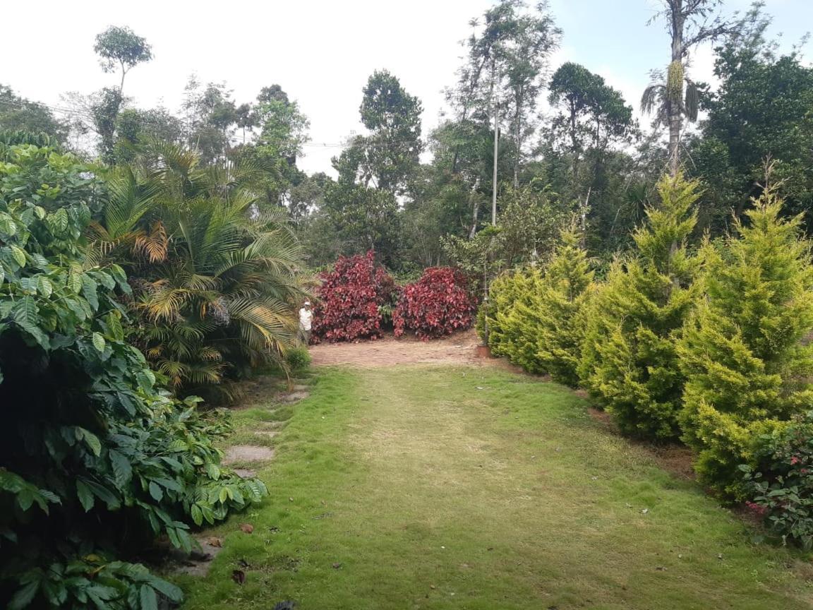 Athena Homestay Somvārpet Esterno foto