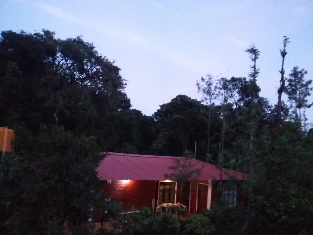 Athena Homestay Somvārpet Esterno foto