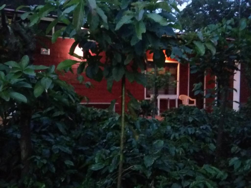 Athena Homestay Somvārpet Esterno foto
