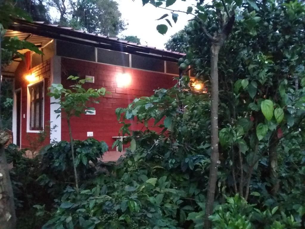 Athena Homestay Somvārpet Esterno foto