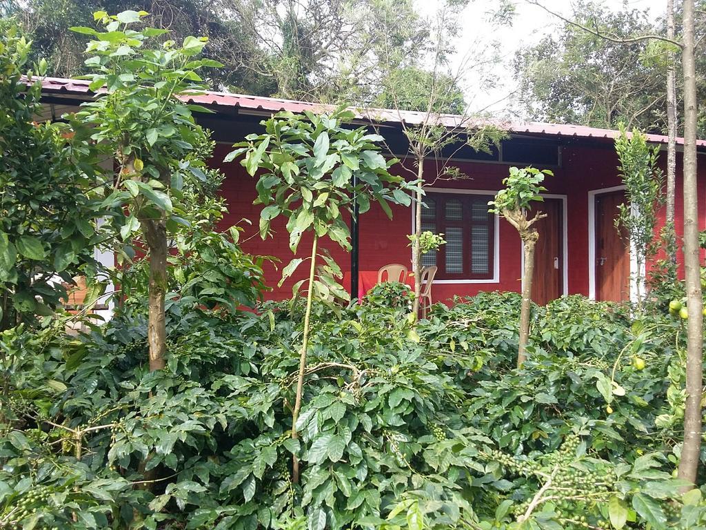 Athena Homestay Somvārpet Esterno foto